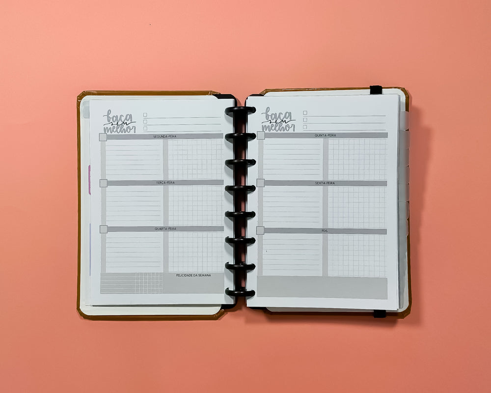 Planner ativo - Flo