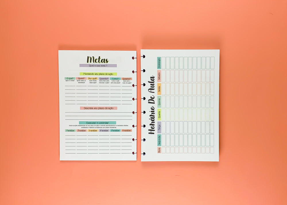 Planner do estudante - REFIL