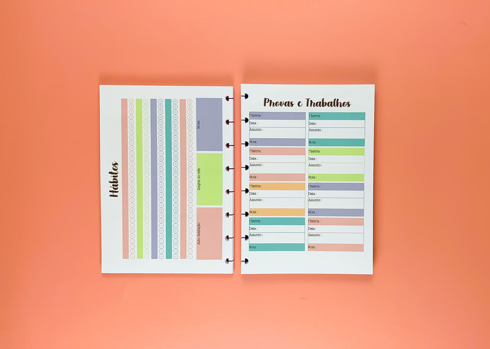 Planner do estudante - REFIL